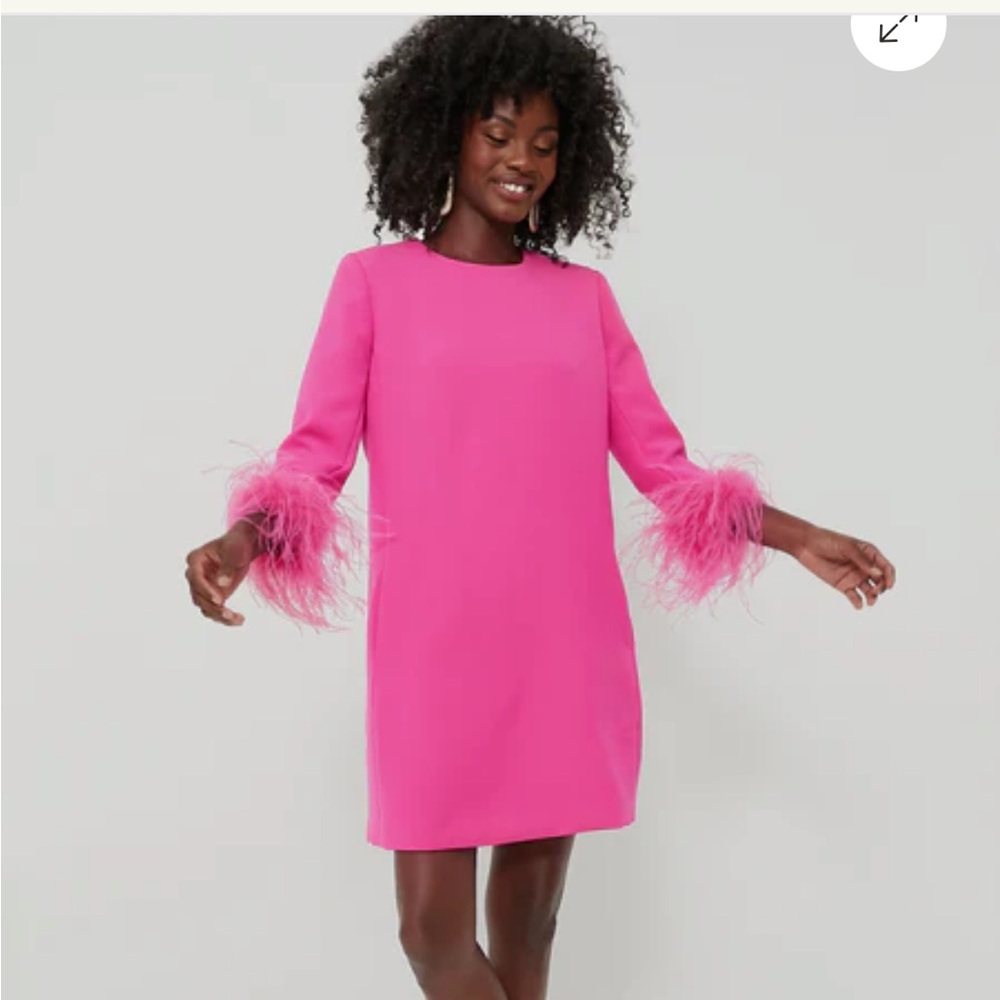 Elegant Pink Feather-Trim Dress